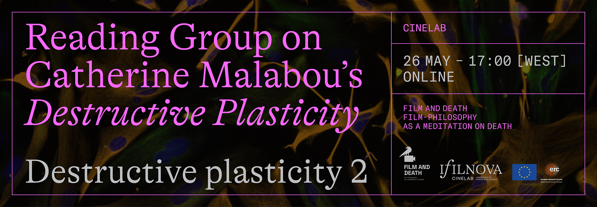 malaboudestrplast2 banner